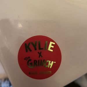 Kylie grinch eye shadow